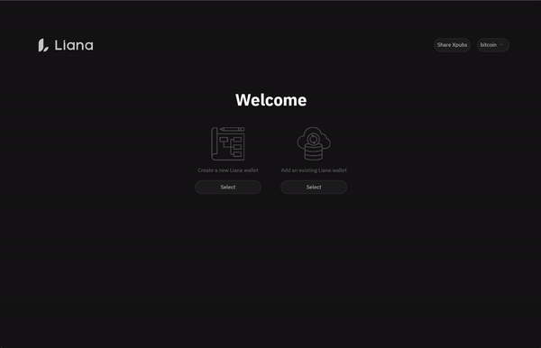 Liana UI on Laptop